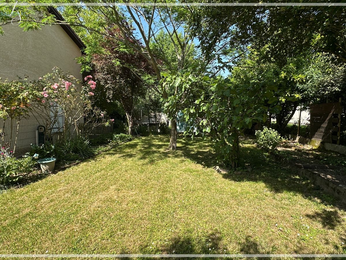 Pelouse et arbres du jardin